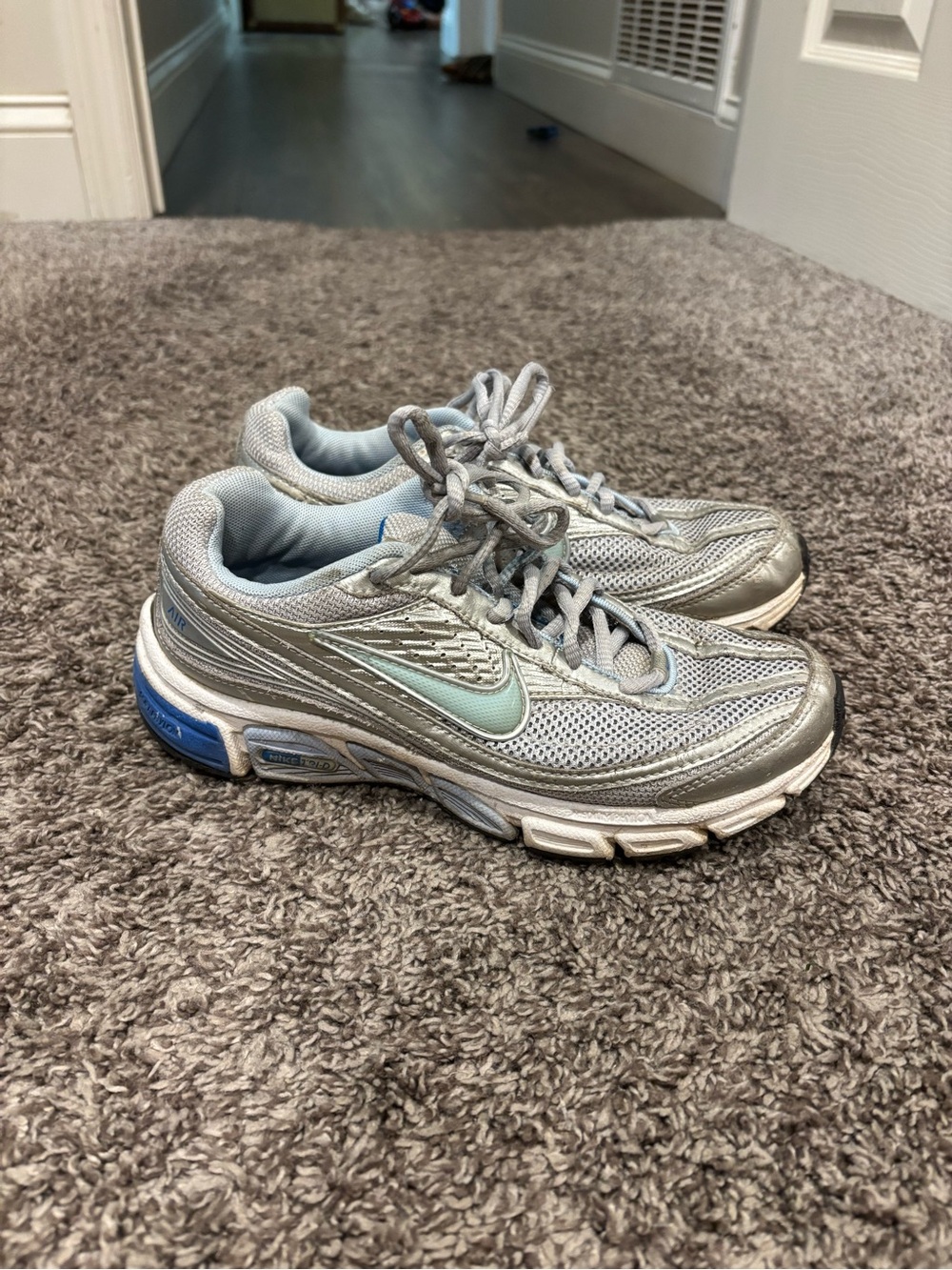 Nike Silver Sneakers